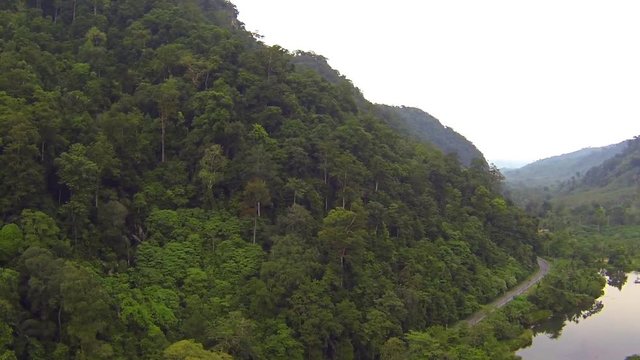 Aerial view of jungle covered mountain, jungle goad and river