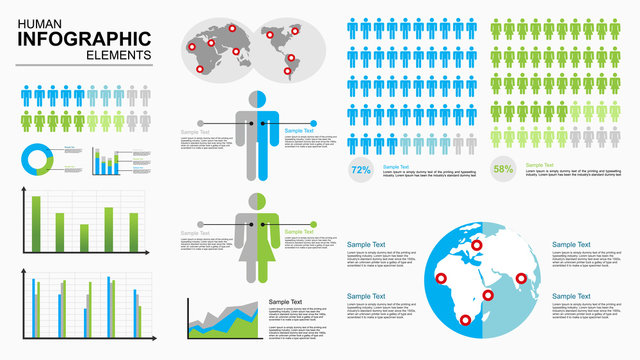 Human infographic vector illustration. Information Graphics
