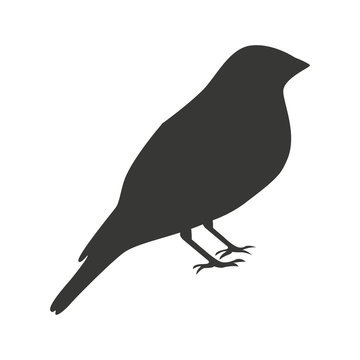 Cute Bird Silhouette  Isolated Icon Design