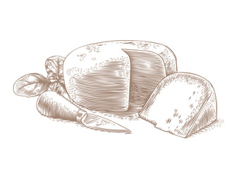 Head of cheese with knife and fresh basil