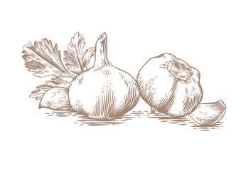 Garlic's heads, cloves and fresh parsley
