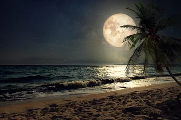 Peel and stick wall murals Full moon Beautiful fantasy tropical beach with Milky Way star in night skies, full moon - Retro style artwork with vintage color tone (Elements of this moon image furnished by NASA)