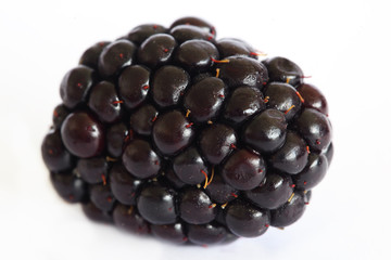 blackberry isolated on white background