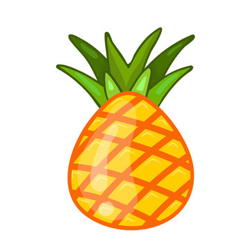pineapple isolated illustration