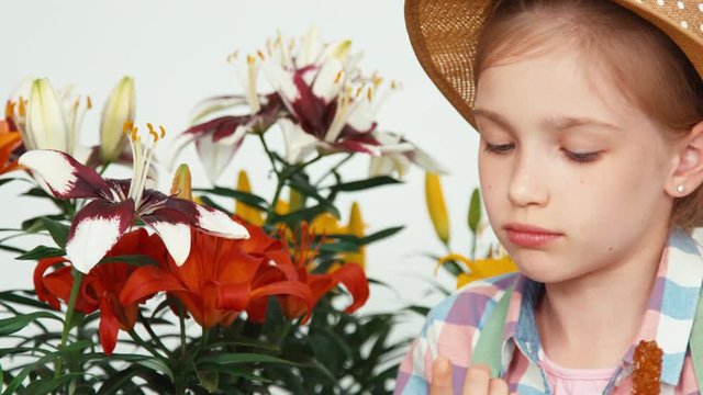 Close-up portrait flower-girl sitting near flowers and eating lollipop and explores flower