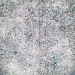 Spider web background - cobweb texture
