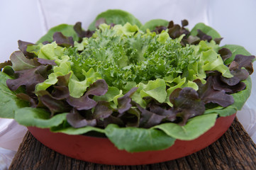 Healthy food with fresh ingredients for salad