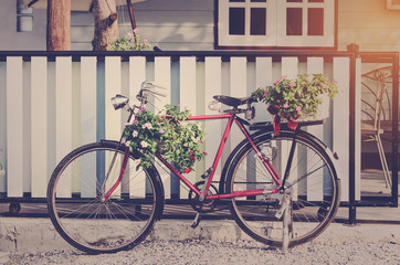 Fototapeta na wymiar Old bicycle and flowers
