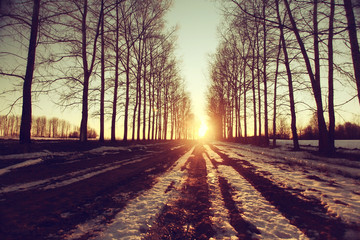 landscape road spring village in March