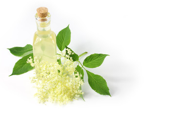 Sambucus nigra, elderberry syrup, juice