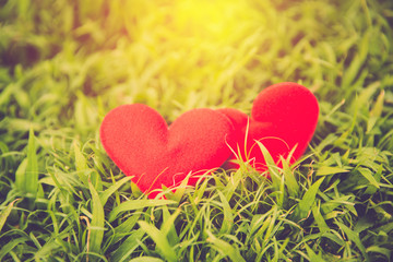 red valentine heart on green grass