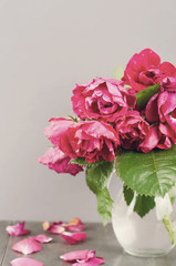 red roses on a Board. Toned photo