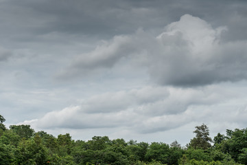 Dark cloud with green of leaves