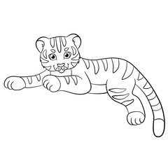 Coloring pages. Wild animals. Little cute baby tiger smiles.
