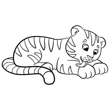 Coloring pages. Wild animals. Little cute baby tiger cleans himself.
