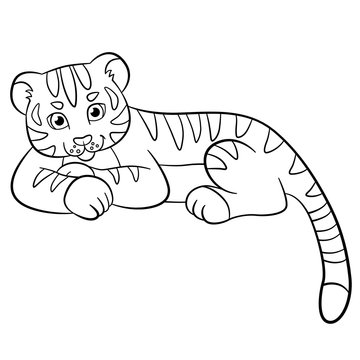 Coloring pages. Wild animals. Little cute baby tiger smiles.