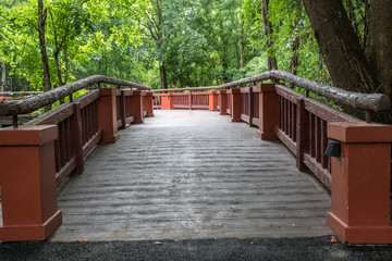 Obraz premium Long bridge in garden