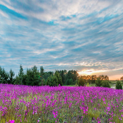 Яркий закат / Bright sunset 