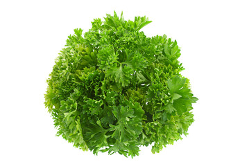 Parsley herb on white