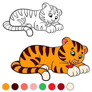 Coloring page. Color me: tiger. Little cute baby tiger.