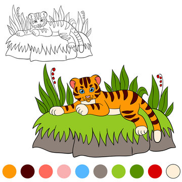 Coloring page. Color me: tiger. Little cute baby tiger smiles.