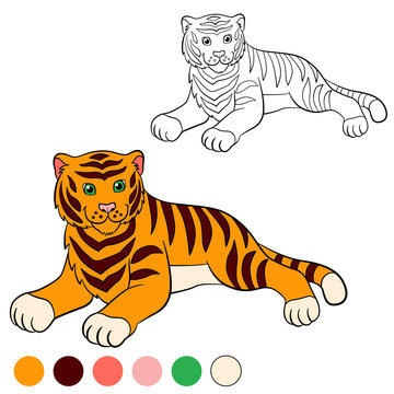 Coloring page. Color me: tiger. Cute tiger smiles.