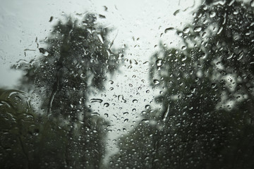 water drop of rain on a glass, blurred tree in background, selective focus