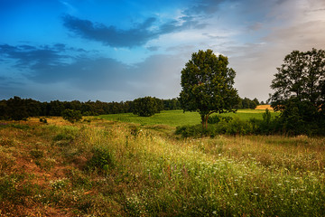 Summer landscape, near Burgas city, Bulgaria