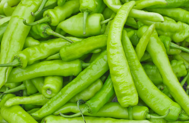 green pepper background