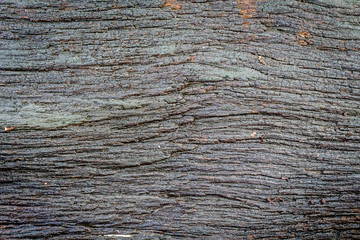 Old wood cracked texture background