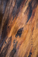 Wood pattern background