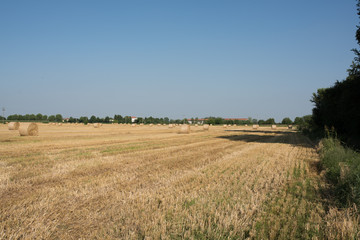 Obraz premium bale of hay