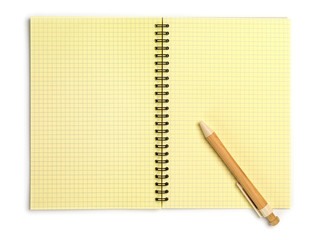 Yellow notebook with bamboo pen