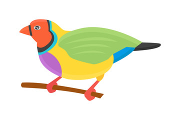 Cartoon parrot vector isolated bird