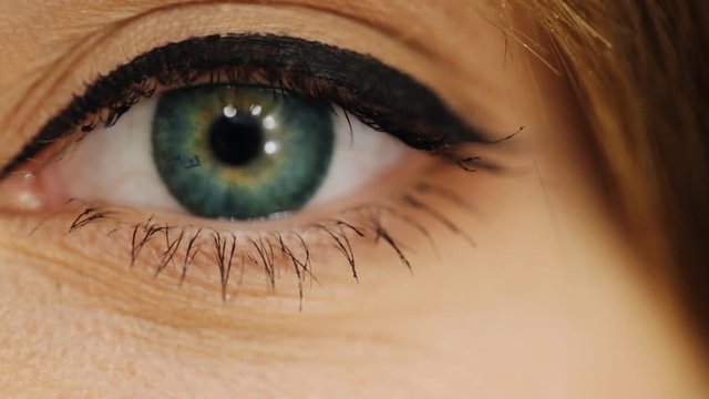 Elegance close-up of beautiful female eye with fashion eye shadow and eyeliner. Macro shot of woman's beautiful eye with extremely long eyelashes