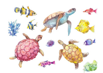 Set of sea turtles, marine fish and algae watercolor