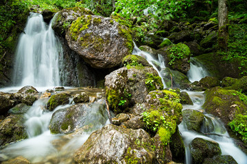 natural waterfall in the forest / natürlicher Wasserfall im grünen Wald