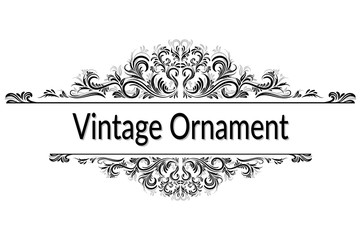 Vintage Calligraphic Ornament, Decorative Frame with Abstract Floral Pattern, Black Contours Isolated on White Background. Vector