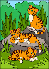 Naklejka premium Coloring pages. Wild animals. Three little cute baby tigers.