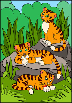 Coloring pages. Wild animals. Three little cute baby tigers.