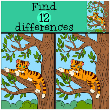 Children games: Find differences. Little cute baby tiger lays on the tree branch and smiles.