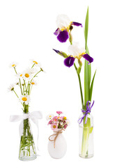 cultivated flowers in a vase on