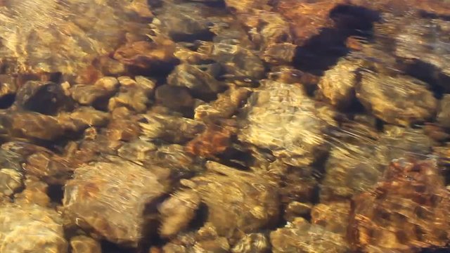 wave current of the river, driftwood, tree and grass