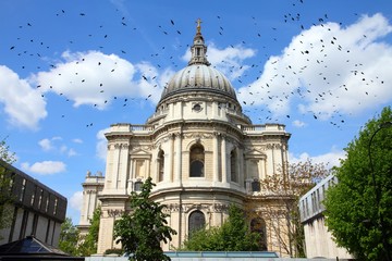 Cathedral in London with ominous birds