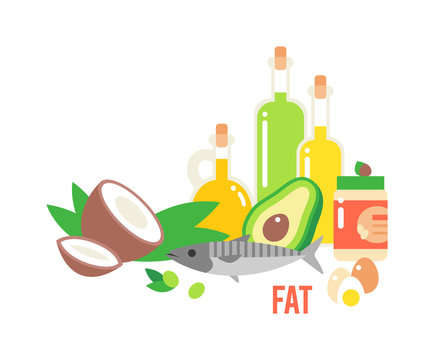 Different kind healthy fat. Good fats diet avocado, dry fruits and oil. Organic food vector and healthy fats food. Fresh diet green olive fats food nutrition fish raw. Vegetarian healthy fats food.