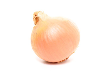 onion isolated on white
