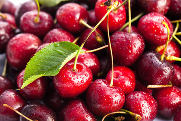 Frische und Leckere Kirschen