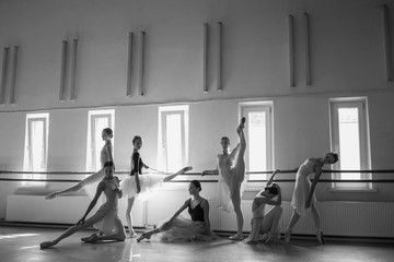 The seven ballerinas at ballet bar - obrazy, fototapety, plakaty