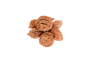 Pile of peach tree seeds. Isolated on a white background.