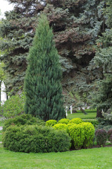 MOSCOW, RUSSIA - May, 2016: Taynitsky Garden of Moscow Kremlin,